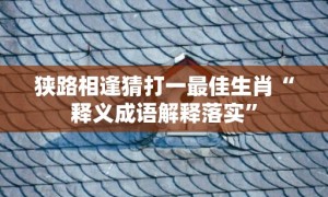 狭路相逢猜打一最佳生肖“释义成语解释落实”