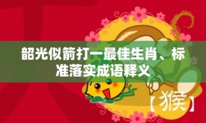 韶光似箭打一最佳生肖、标准落实成语释义