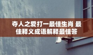 夺人之爱打一最佳生肖 最佳释义成语解释最佳答