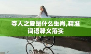 夺人之爱是什么生肖,精准词语释义落实