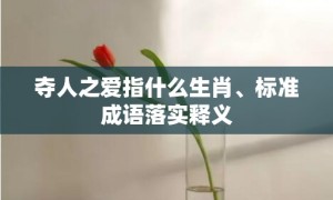 夺人之爱指什么生肖、标准成语落实释义