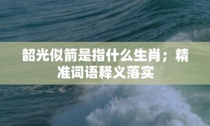 韶光似箭是指什么生肖；精准词语释义落实