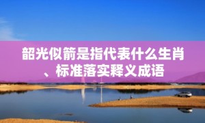 韶光似箭是指代表什么生肖、标准落实释义成语