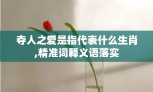 夺人之爱是指代表什么生肖,精准词释义语落实