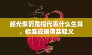 韶光似箭是指代表什么生肖、标准成语落实释义