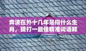 奔波在外十几年是指什么生肖，猜打一最佳精准词语释义落实