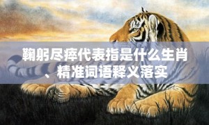 鞠躬尽瘁代表指是什么生肖、精准词语释义落实