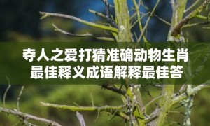 夺人之爱打猜准确动物生肖 最佳释义成语解释最佳答