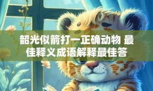 韶光似箭打一正确动物 最佳释义成语解释最佳答