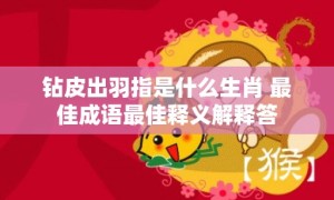 钻皮出羽指是什么生肖 最佳成语最佳释义解释答