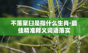 不落窠臼是指什么生肖·最佳精准释义词语落实