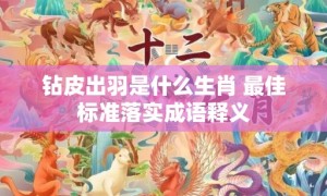 钻皮出羽是什么生肖 最佳标准落实成语释义