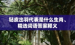 钻皮出羽代表是什么生肖、精选词语答案释义