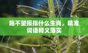 施不望报指什么生肖，精准词语释义落实