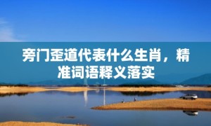 旁门歪道代表什么生肖，精准词语释义落实