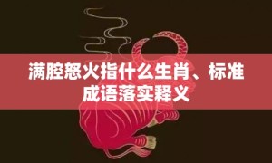 满腔怒火指什么生肖、标准成语落实释义