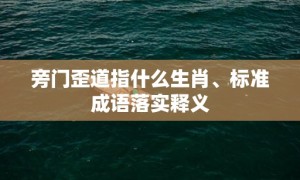 旁门歪道指什么生肖、标准成语落实释义