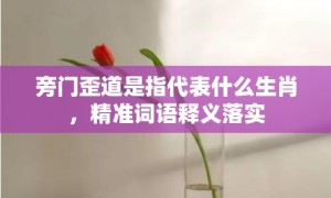 旁门歪道是指代表什么生肖，精准词语释义落实