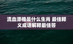 流血漂橹是什么生肖 最佳释义成语解释最佳答