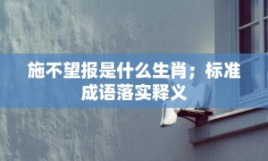 施不望报是什么生肖；标准成语落实释义