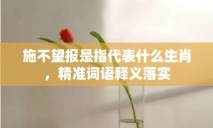 施不望报是指代表什么生肖，精准词语释义落实