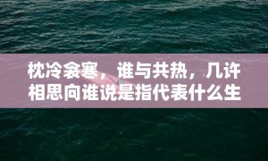 枕冷衾寒，谁与共热，几许相思向谁说是指代表什么生肖标准成语落实释义