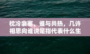 枕冷衾寒，谁与共热，几许相思向谁说是指代表什么生肖标准成语落实释义