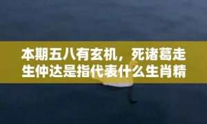 本期五八有玄机，死诸葛走生仲达是指代表什么生肖精准词语释义落实