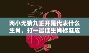 两小无猜九正开是代表什么生肖，打一最佳生肖标准成语落实释义