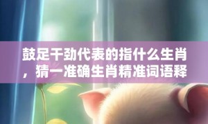 鼓足干劲代表的指什么生肖，猜一准确生肖精准词语释义落实