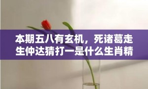 本期五八有玄机，死诸葛走生仲达猜打一是什么生肖精准词语释义落实