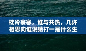 枕冷衾寒，谁与共热，几许相思向谁说猜打一是什么生肖精准词语释义落实