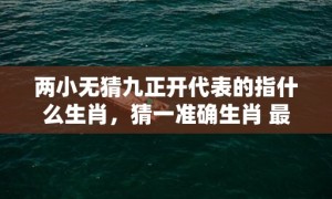 两小无猜九正开代表的指什么生肖，猜一准确生肖 最佳释义成语解释最佳答