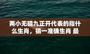 两小无猜九正开代表的指什么生肖，猜一准确生肖 最佳释义成语解释最佳答