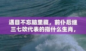 遇目不忘脑里藏，前仆后继三七吹代表的指什么生肖，猜一准确生肖成语落实释义