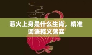 惹火上身是什么生肖，精准词语释义落实