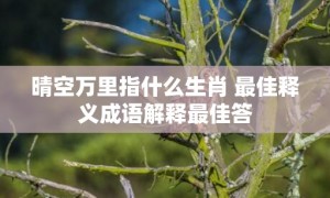 晴空万里指什么生肖 最佳释义成语解释最佳答