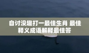 自讨没趣打一最佳生肖 最佳释义成语解释最佳答