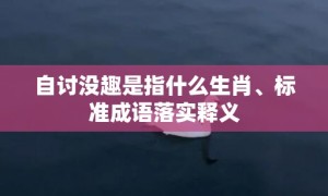 自讨没趣是指什么生肖、标准成语落实释义