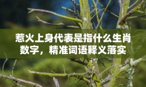 惹火上身代表是指什么生肖数字，精准词语释义落实