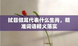 拭目倾耳代表什么生肖，精准词语释义落实