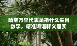 晴空万里代表是指什么生肖数字，精准词语释义落实