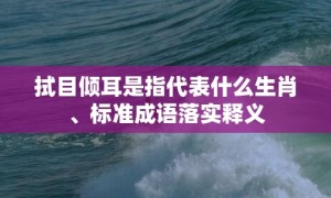 拭目倾耳是指代表什么生肖、标准成语落实释义