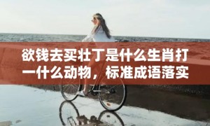 欲钱去买壮丁是什么生肖打一什么动物，标准成语落实释义