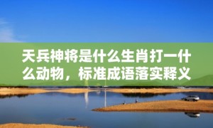 天兵神将是什么生肖打一什么动物，标准成语落实释义