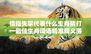 惜指失掌代表什么生肖猜打一最佳生肖词语精准释义落实