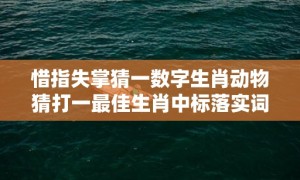 惜指失掌猜一数字生肖动物猜打一最佳生肖中标落实词意