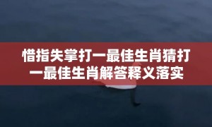 惜指失掌打一最佳生肖猜打一最佳生肖解答释义落实