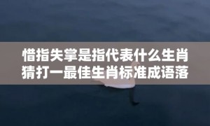 惜指失掌是指代表什么生肖猜打一最佳生肖标准成语落实释义