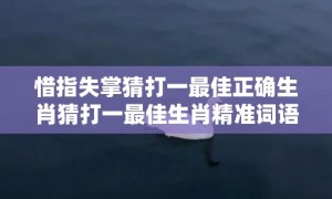 惜指失掌猜打一最佳正确生肖猜打一最佳生肖精准词语释义落实